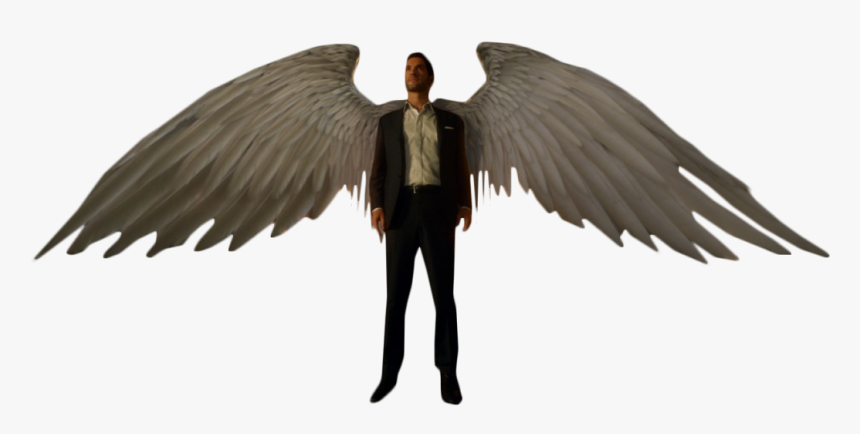 Lucifer Morning Star With Wings Png Image - Lucifer Angel Wings Png, Transparent Png, Free Download