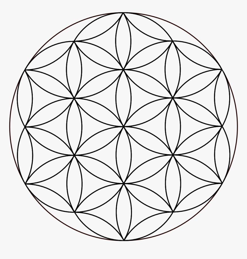 Overlapping Circles Grid Sacred Geometry Vitruvian - Flower Of Life Simple, HD Png Download, Free Download