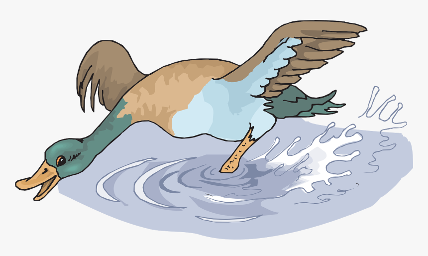 Duck In Water Png Cartoons, Transparent Png, Free Download