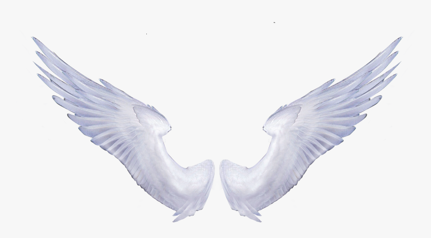 Angel Wings Portable Network Graphics Clip Art Image - Realistic Transparent Angel Wings Png, Png Download, Free Download