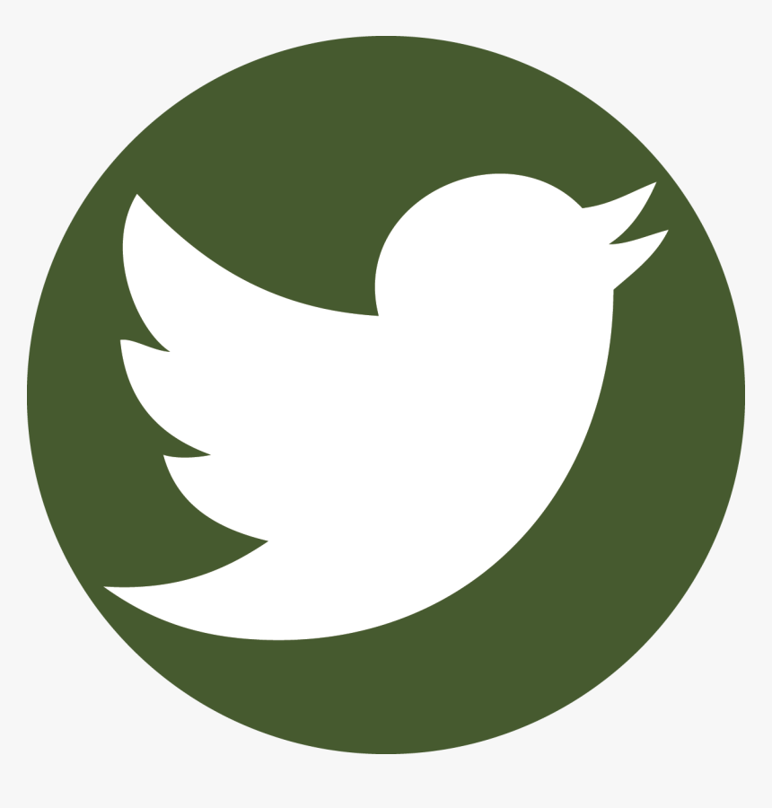 Youtube Icon , Png Download - Current Twitter Logo Png, Transparent Png, Free Download