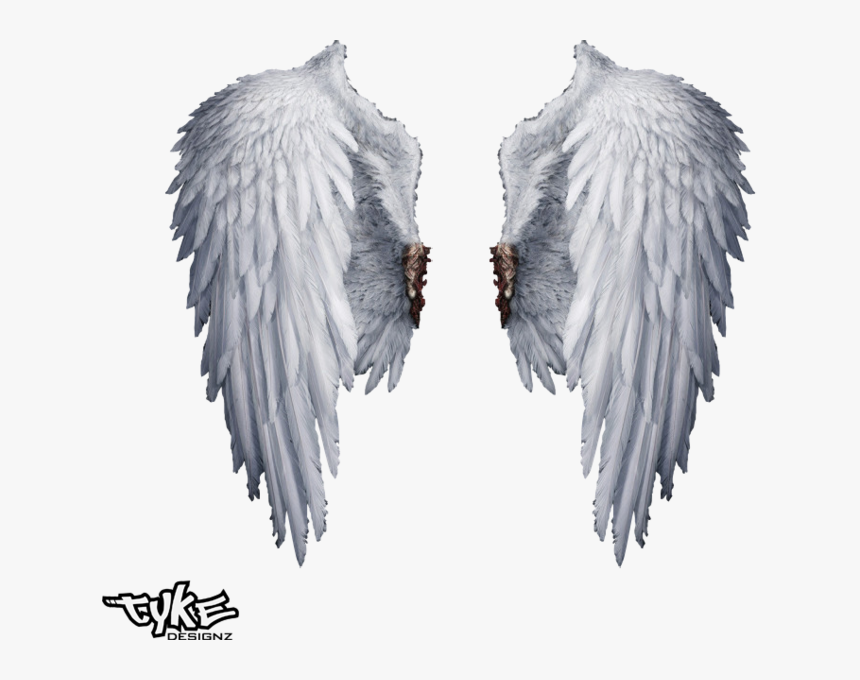 Angel Wings Png Transparent - Transparent Background Angel Wings Png, Png Download, Free Download