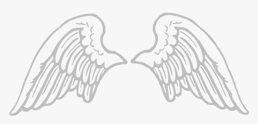 Angel Wings Png Cartoon, Transparent Png, Free Download