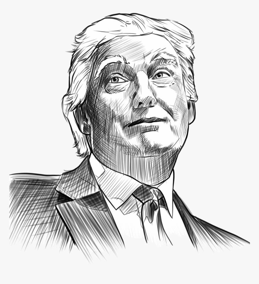 An Open Letter To Mr - Sketch Of Donald Trump, HD Png Download, Free Download