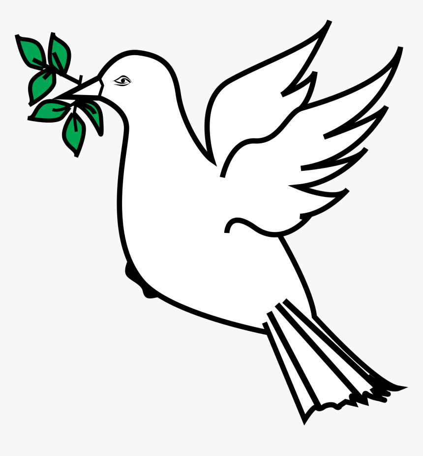 Dove With Olive Branch Png, Transparent Png, Free Download