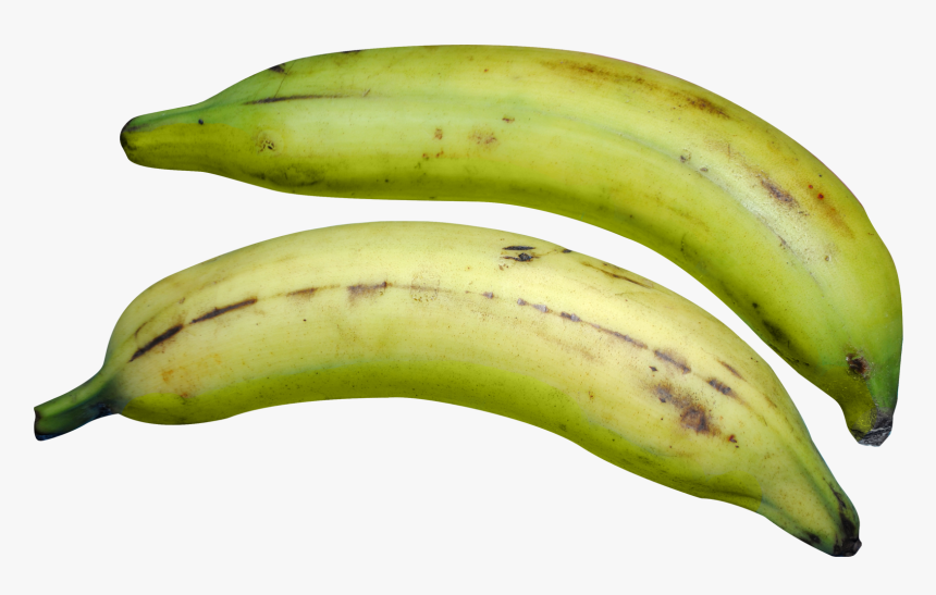 Banana Png Image - Plantain Png, Transparent Png, Free Download