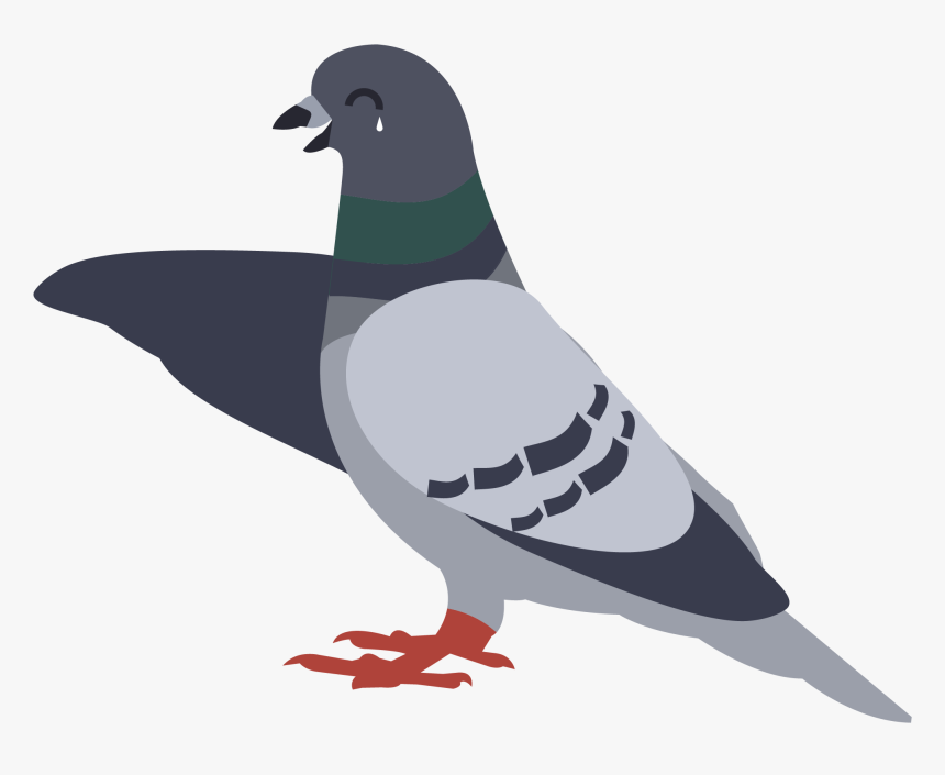 Clipart Free Fails Premier Control - Pigeon Cartoon Png, Transparent Png, Free Download