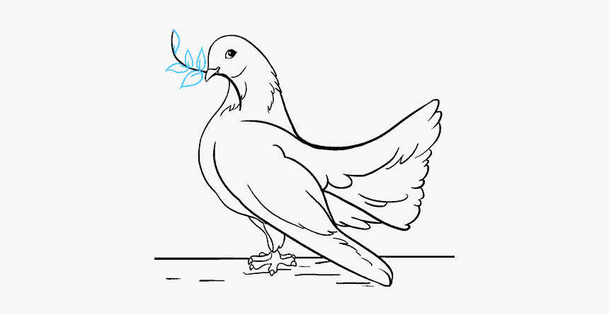 Clip Art Drawings Of Dove - Sketch, HD Png Download, Free Download