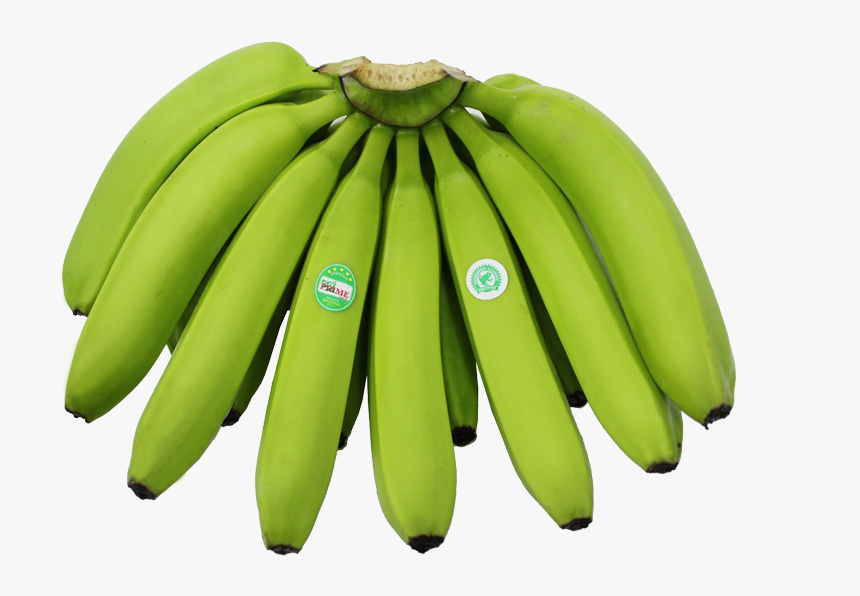 Saba Banana , Png Download - Matoke, Transparent Png, Free Download