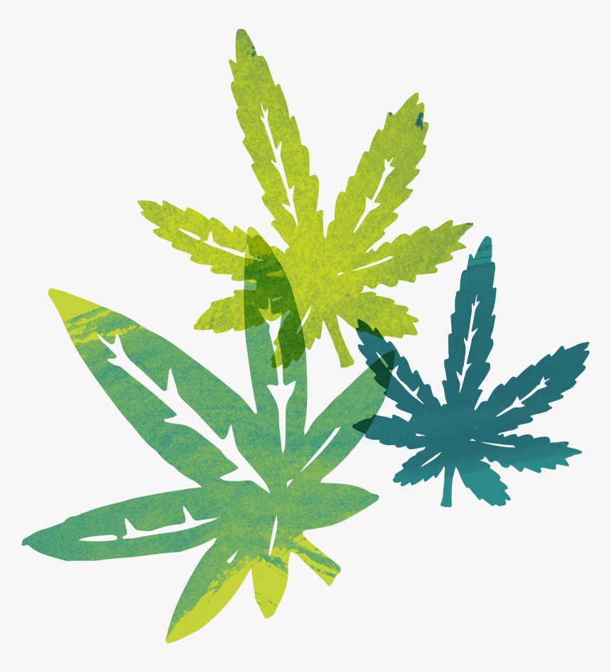 Transparent Weed Png - Illustration, Png Download, Free Download