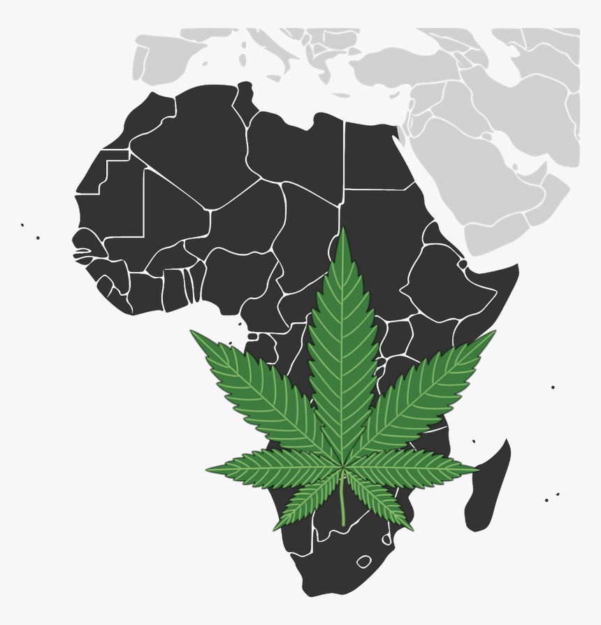 Cannabis In Africa, HD Png Download, Free Download