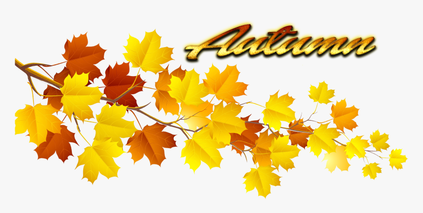 Autumn Leaves Png Pic - Autumn Leaves Png, Transparent Png, Free Download