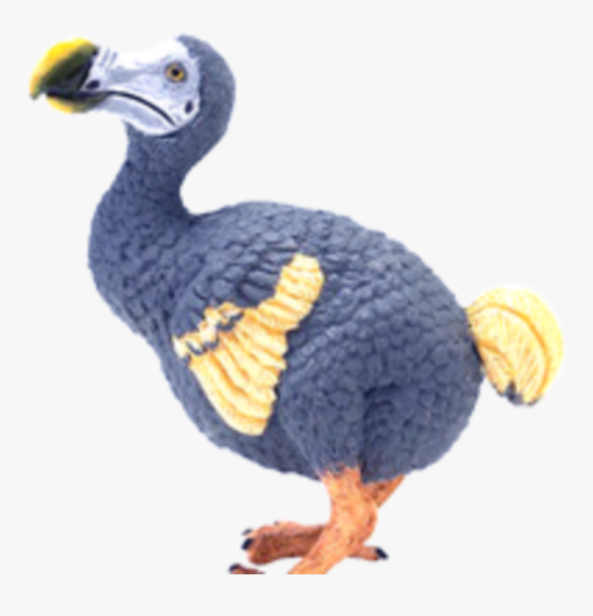 Dodo Bird Png - - Dodo Bird Png, Transparent Png, Free Download