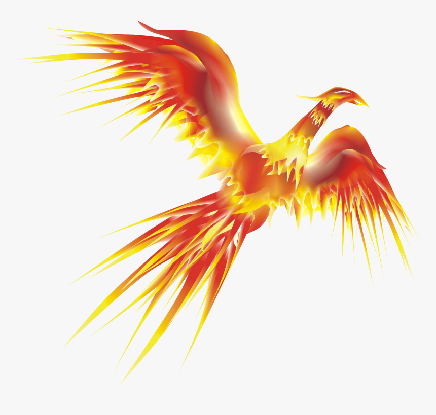 Phoenix Bird Png, Transparent Png, Free Download