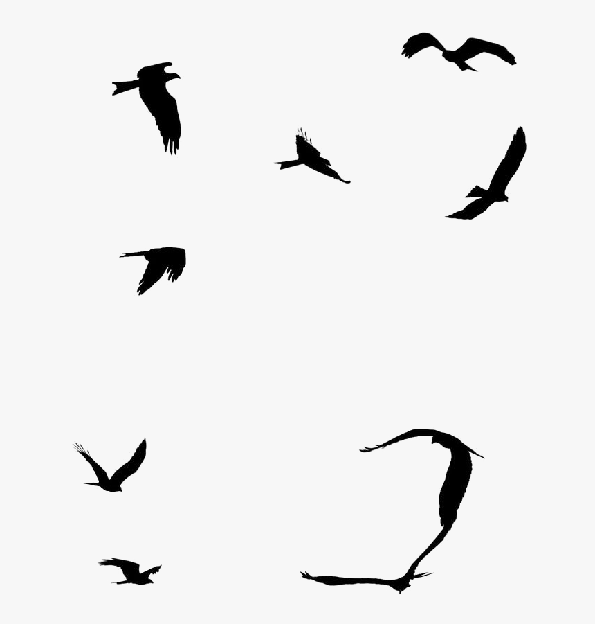 Ocean Birds Png File - Sea Birds Flying Silhouette, Transparent Png, Free Download