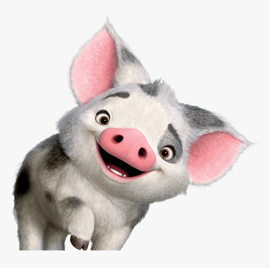 Pua Moana - Pua Moana Png, Transparent Png, Free Download