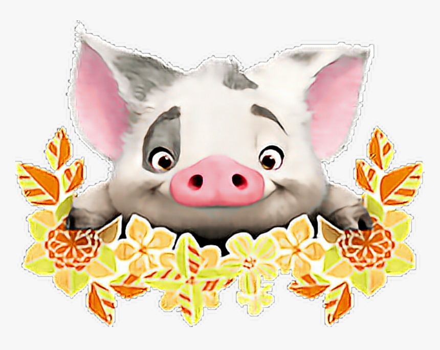 Transparent Moana Clip Art Cute Pua From Moana Hd Png Download Kindpng