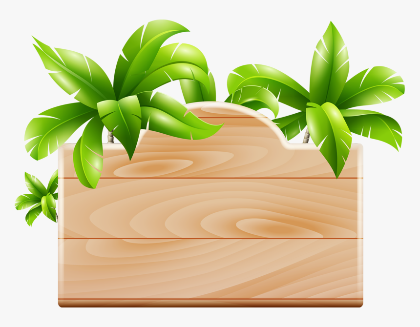 Clip Art Placa Moana Png - Coconut Tree Design, Transparent Png, Free Download