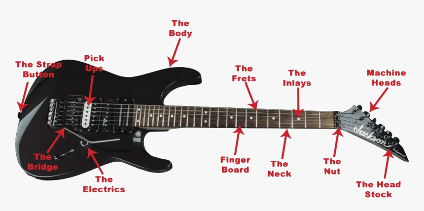 Anatomy Of The Guitar - Electric Guitar Parts Names, HD Png Download, Free Download