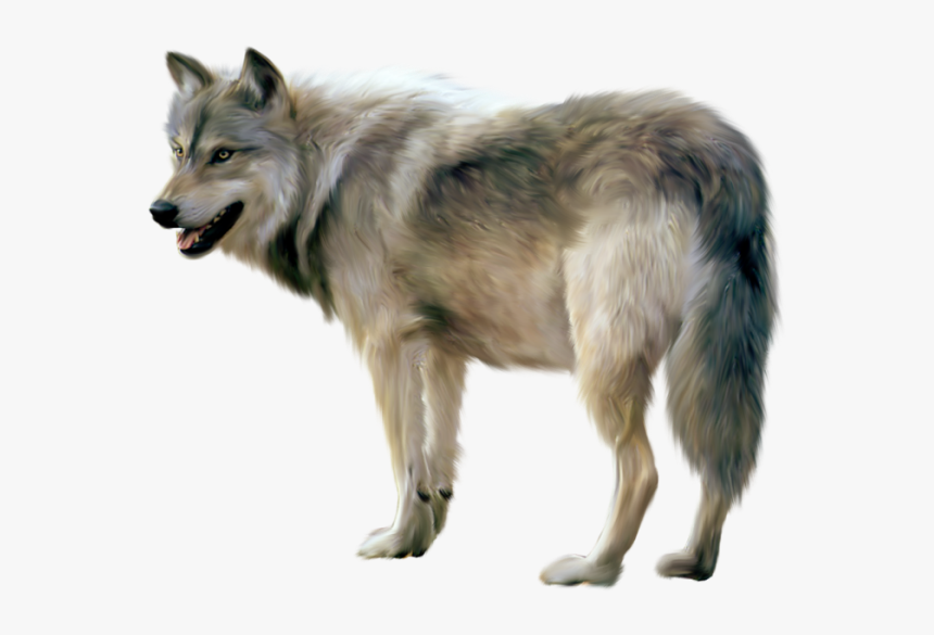 Wolf Png Image, Picture, Down - Wolf Png, Transparent Png, Free Download