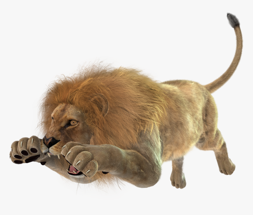 Images Of Angry Lion Png - Running Lion Transparent Background, Png Download, Free Download