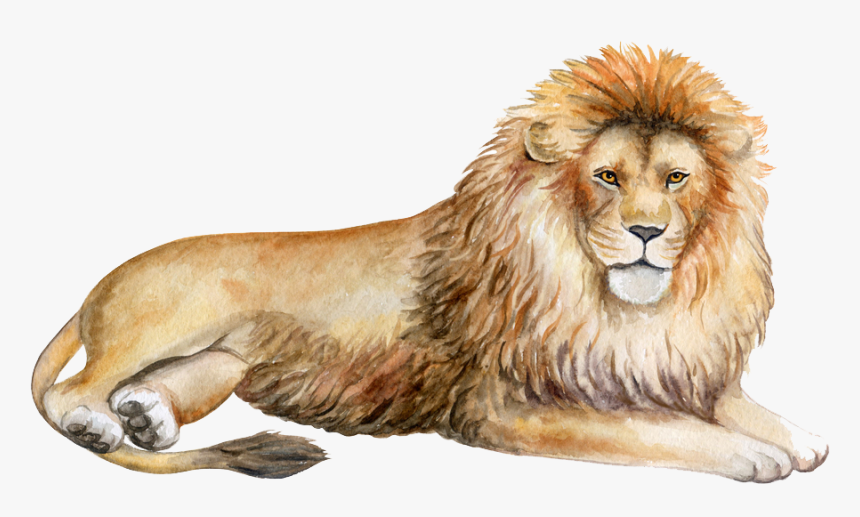 Transparent Lion Png - Löwe Aquarell, Png Download, Free Download