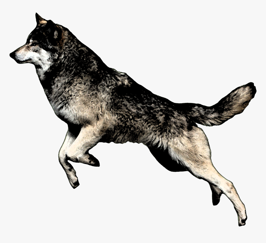 Transparent Jumping Dog Png, Png Download, Free Download