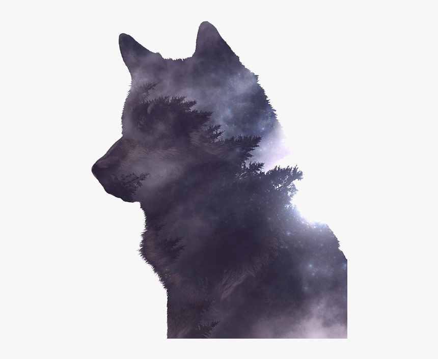 Wolf Photoshop, HD Png Download, Free Download