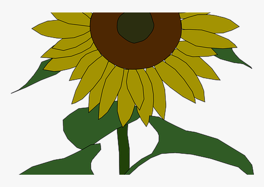 Outline, Yellow, Drawing, Plants, Sun, Flower, Flowers - Sunflower Clipart, HD Png Download, Free Download