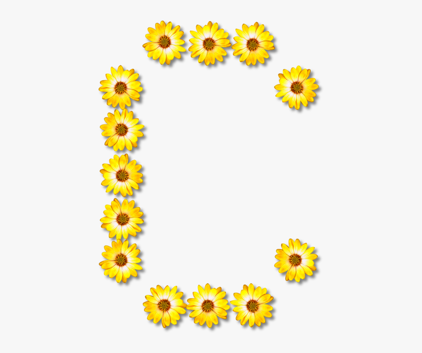 Sunflower Seed,flower,sunflower - Freeman Chain Code C#, HD Png Download, Free Download