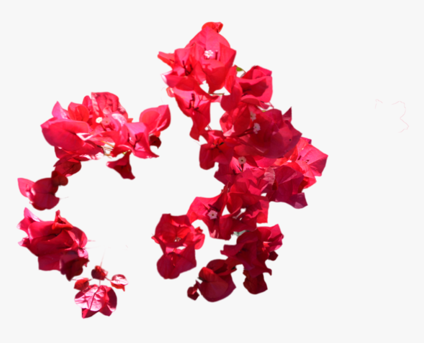 Transparent Purple Flower Crown Tumblr - Transparent Red Flower Png, Png Download, Free Download