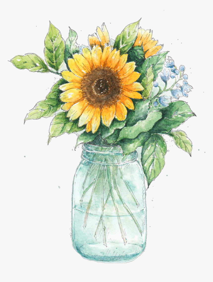 Drawn Mason Jar Sunflower Png - Sunflower In Mason Jar, Transparent Png, Free Download