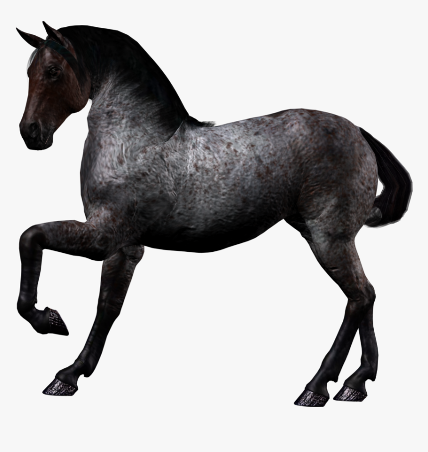 Horse Png Image - Black Horse Png, Transparent Png, Free Download