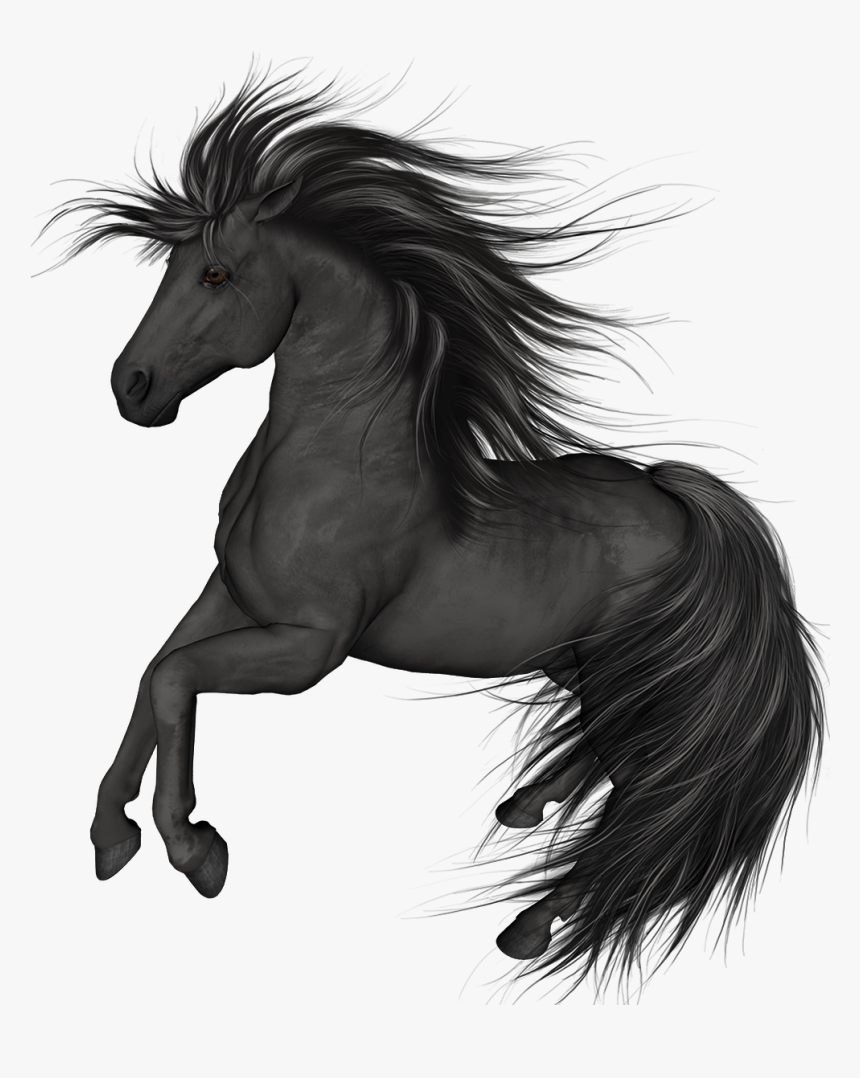 Black Horse Png Clip Art - Transparent Black Horse Png, Png Download, Free Download