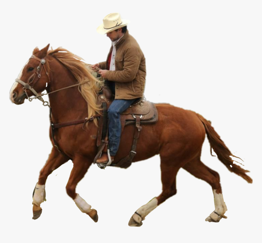 Transparent Cowgirl On Horse Clipart - Guy Riding A Horse, HD Png Download, Free Download
