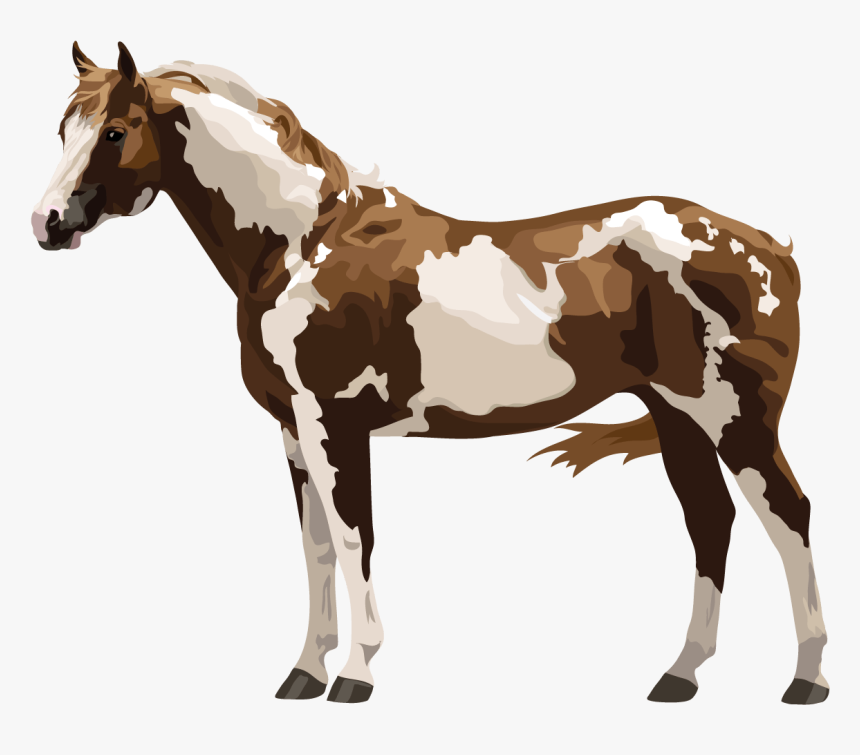 Appaloosa Horse Png - Painted Horse Transparent Background, Png Download, Free Download