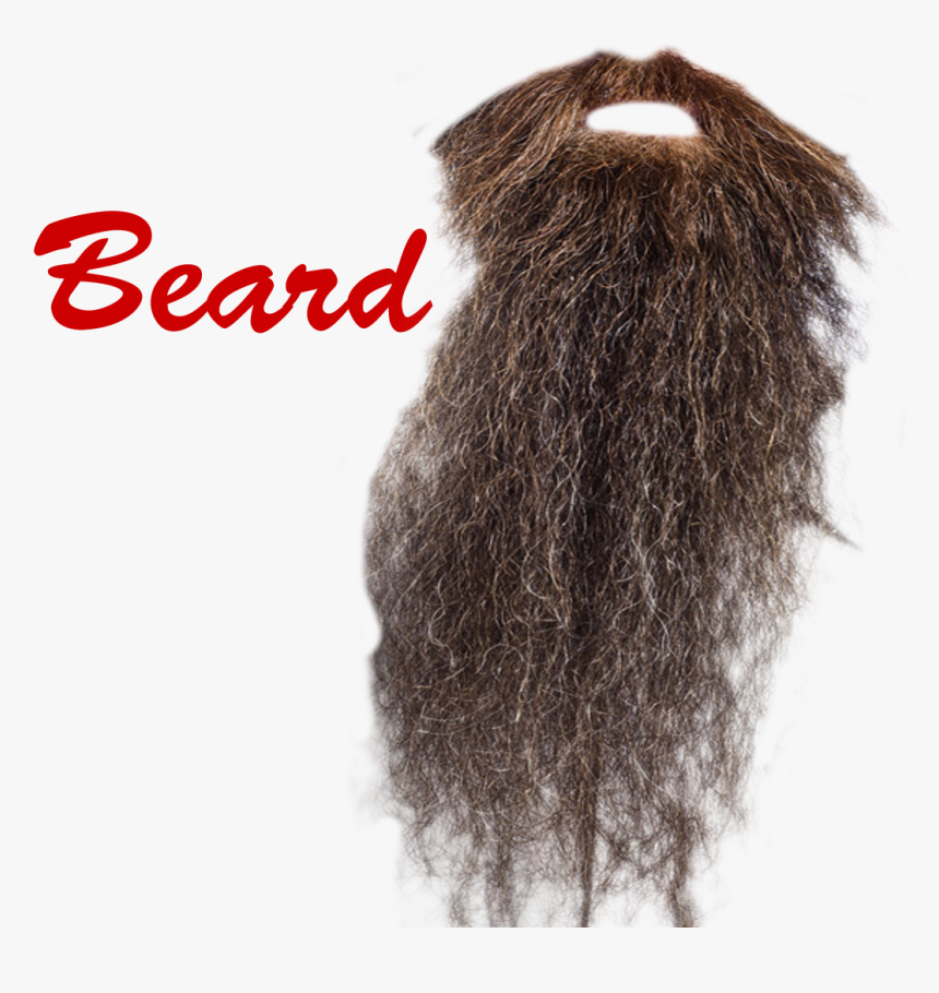 Beard Png Picture - Lace Wig, Transparent Png, Free Download