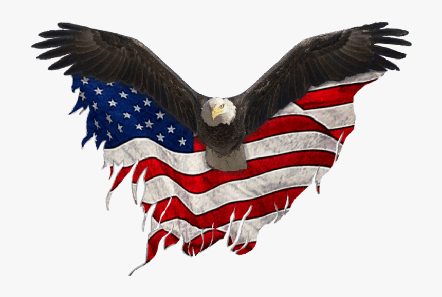 Usa Eagle Png - Eagle United States Png, Transparent Png, Free Download
