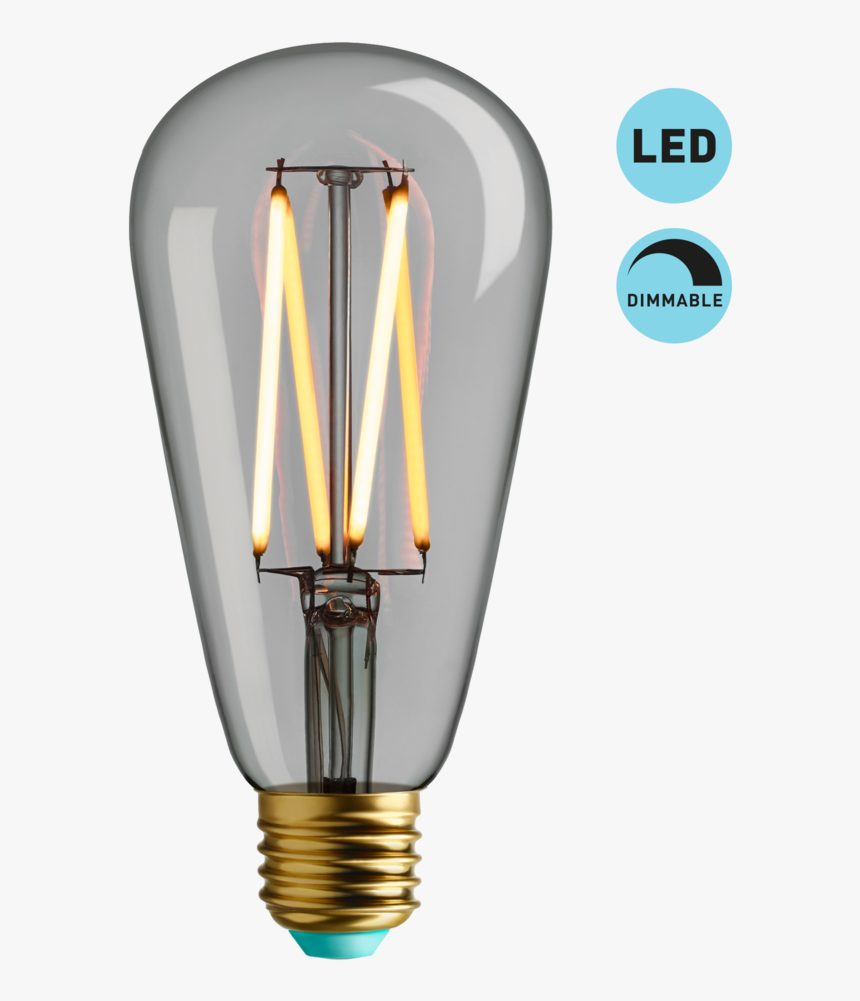 Ruche D Printed Shade - Incandescent Light Bulb, HD Png Download, Free Download