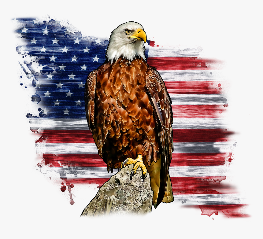 American Flag Eagle Png, Transparent Png, Free Download