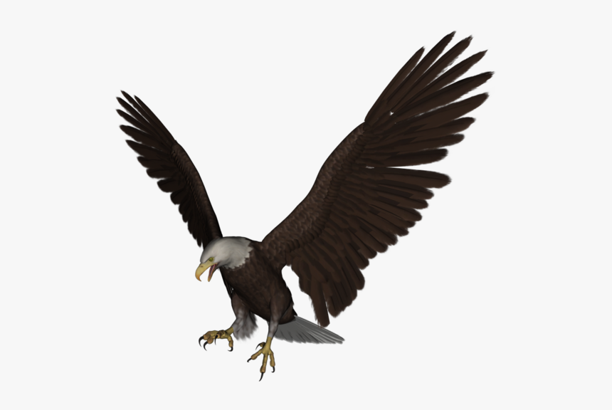 Aigle, HD Png Download, Free Download