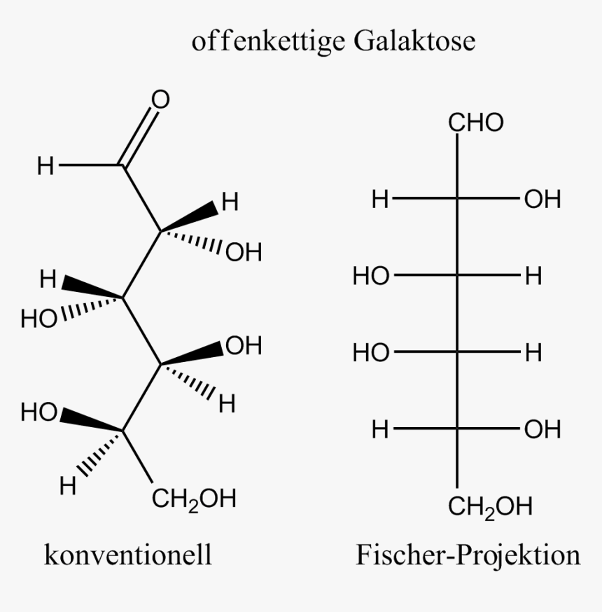 Galactose Open Chain, HD Png Download, Free Download