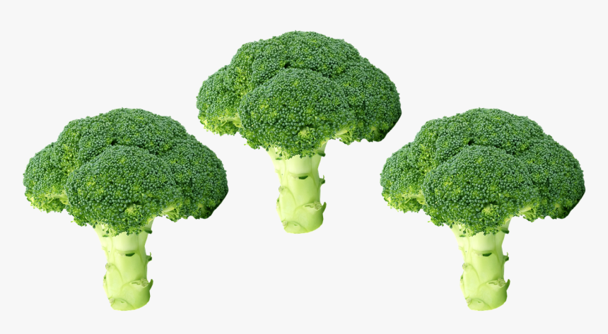 Broccoli Png, Vegetables, Green, Organic, Salad, Food - Italica Group, Transparent Png, Free Download