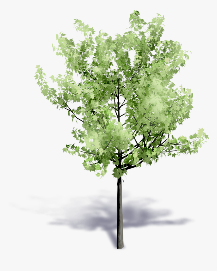 Revit Trees 3d, HD Png Download, Free Download