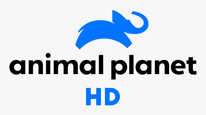 Animal Planet Png - Animal Planet Logo 2019, Transparent Png, Free Download