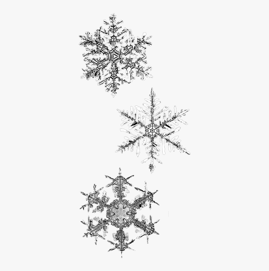 Drawn Snowflake Png Tumblr - Winter Png, Transparent Png, Free Download