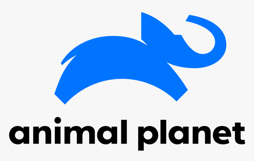 Animal Planet The Zoo San Diego, HD Png Download, Free Download