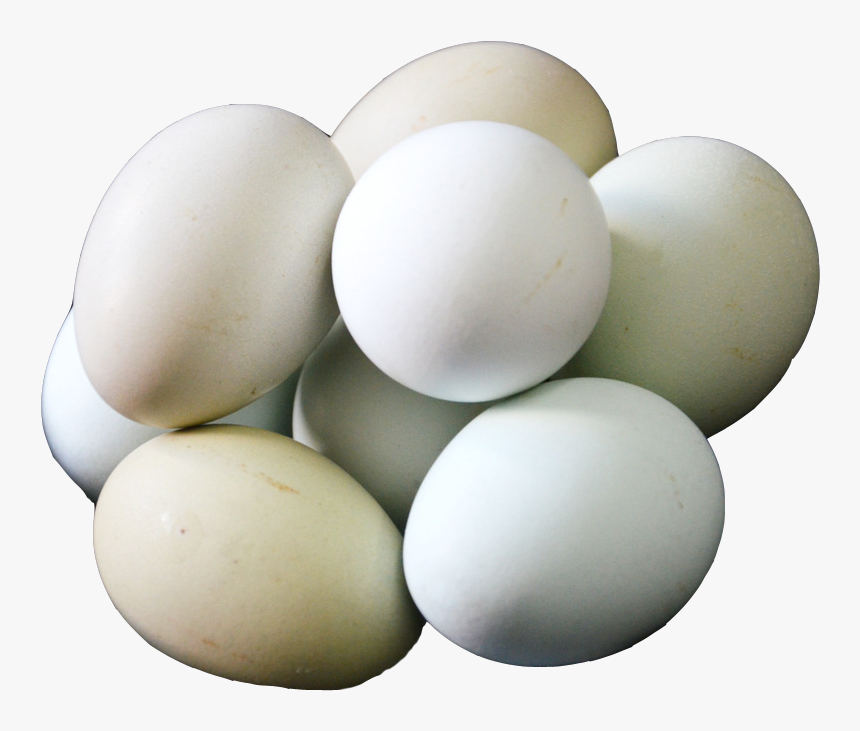 Salted Duck Egg Egg White - Duck Egg Png, Transparent Png, Free Download