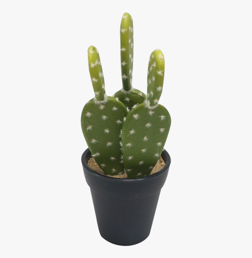 Prickly Pear Cactus In Pot, HD Png Download, Free Download