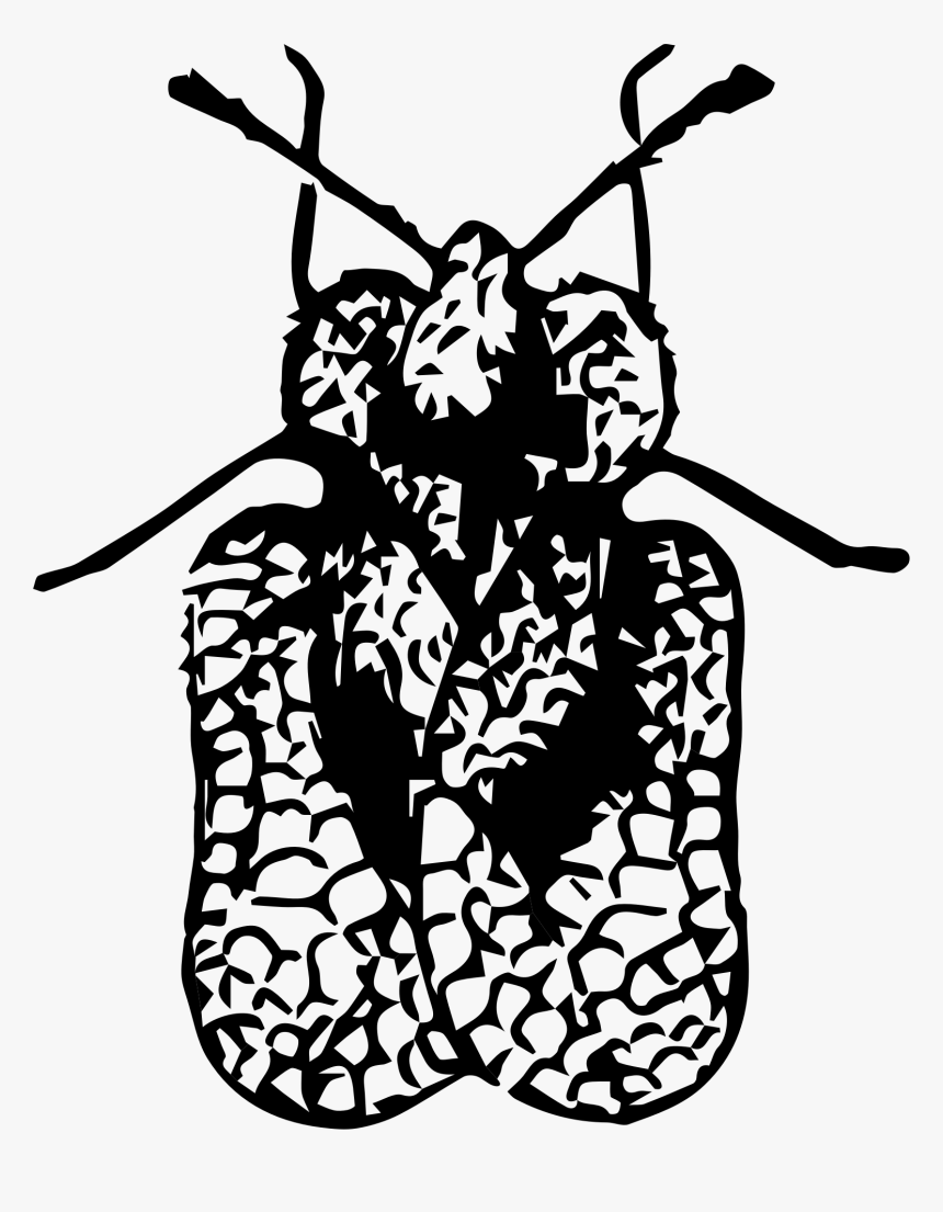 Lace Bug Clip Arts - Clip Art, HD Png Download, Free Download